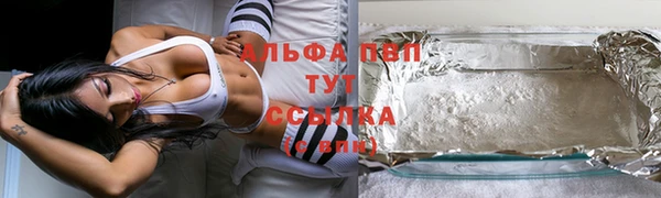 крисы Осташков