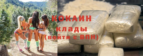 крисы Осташков